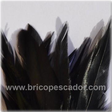 Mazo de plumas  de gallo negras
