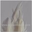 Mazo de plumas  de gallo Blanca